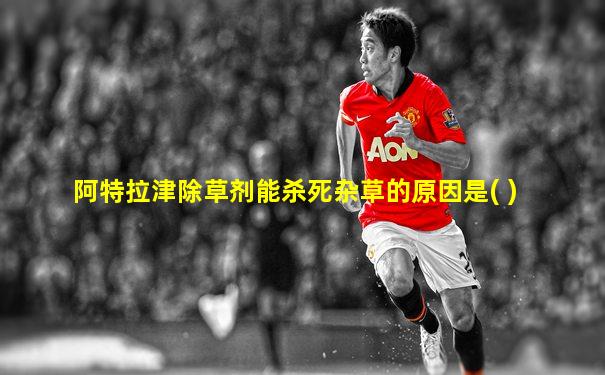 阿特拉津除草剂能杀死杂草的原因是( )